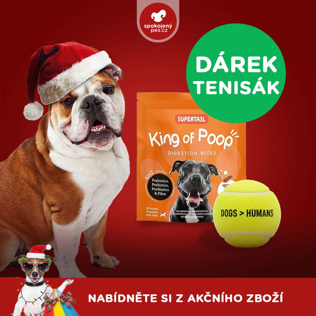 akční prosinec_pes6.png